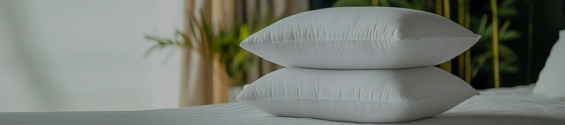 Anti Allergy Pillows