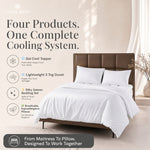 All in One Summer Bundle