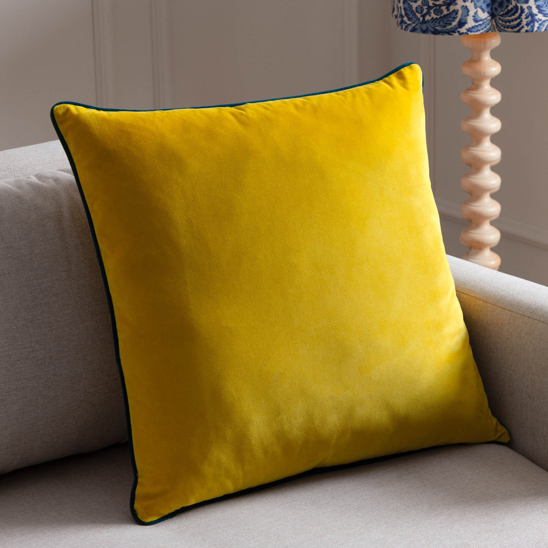 PAOLETTI MERIDIAN VELVET CUSHION